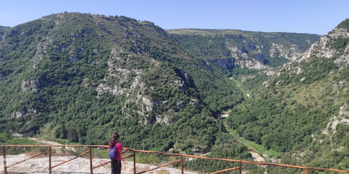 Immagine 2025-09-13 190749